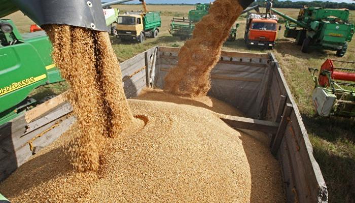 ارتفاع واردات المغرب من الحبوب