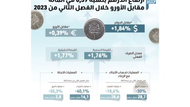 ارتفاع الدرهم بنسبة 0,39 في المائة مقابل الأورو خلال الفصل الثاني من 2023 (بنك المغرب)