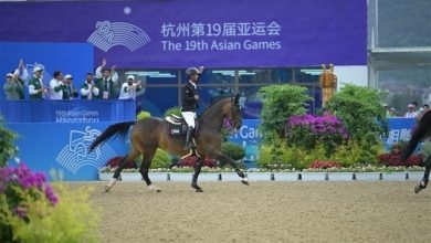 "الألعاب الآسيوية".. 16 ميدالية ملونة تكتب تاريخاً جديداً للإمارات