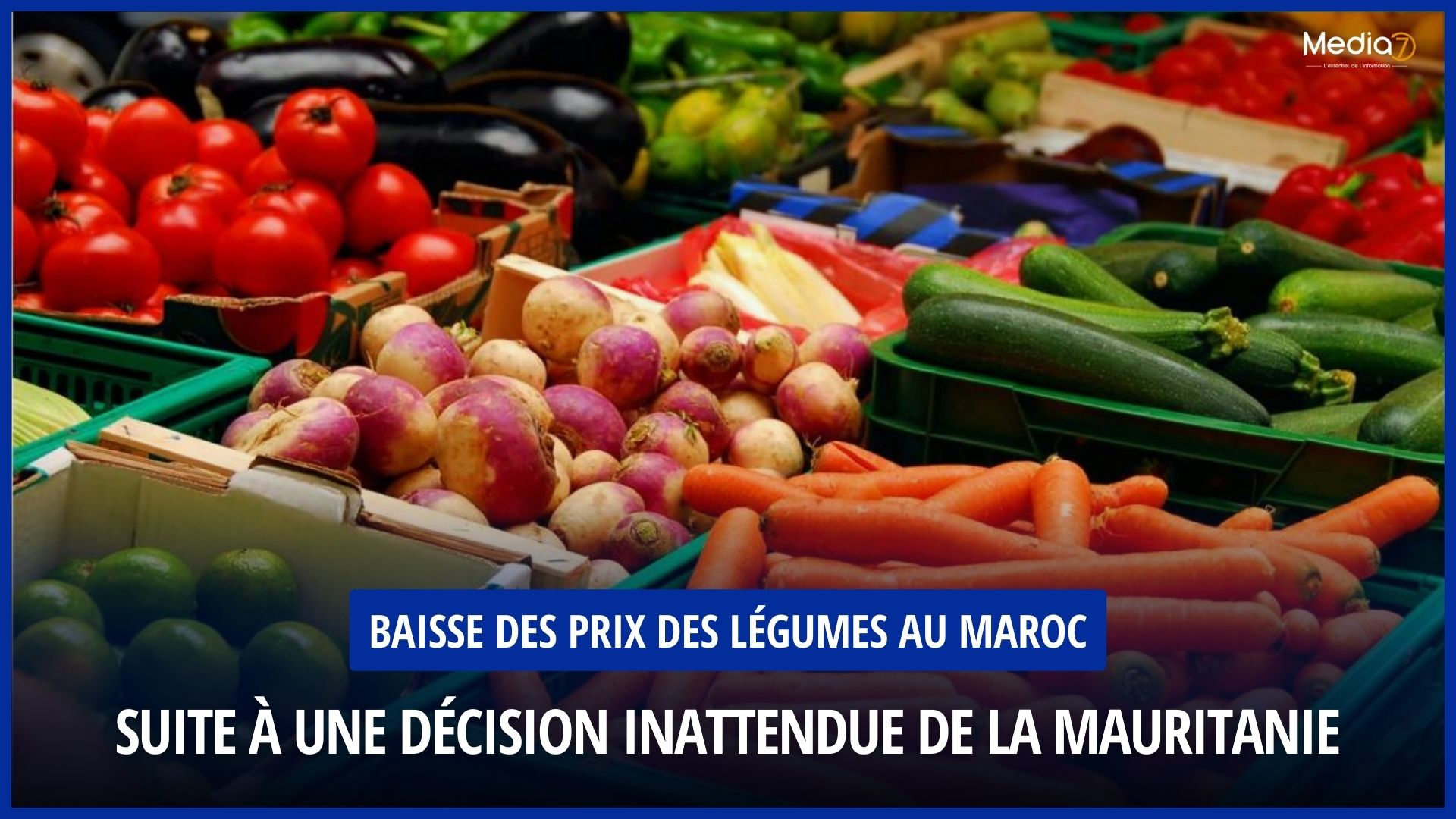 Baisse des Prix des Légumes au Maroc