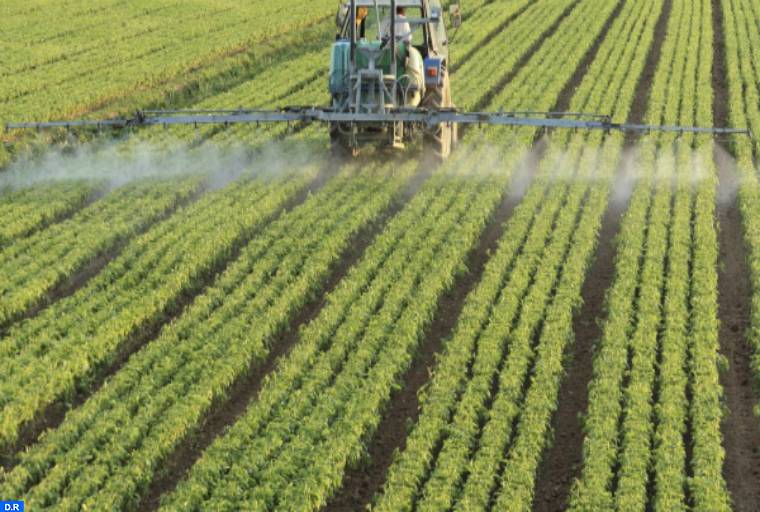 Journée d'étude à Tétouan sur l'agriculture biologique