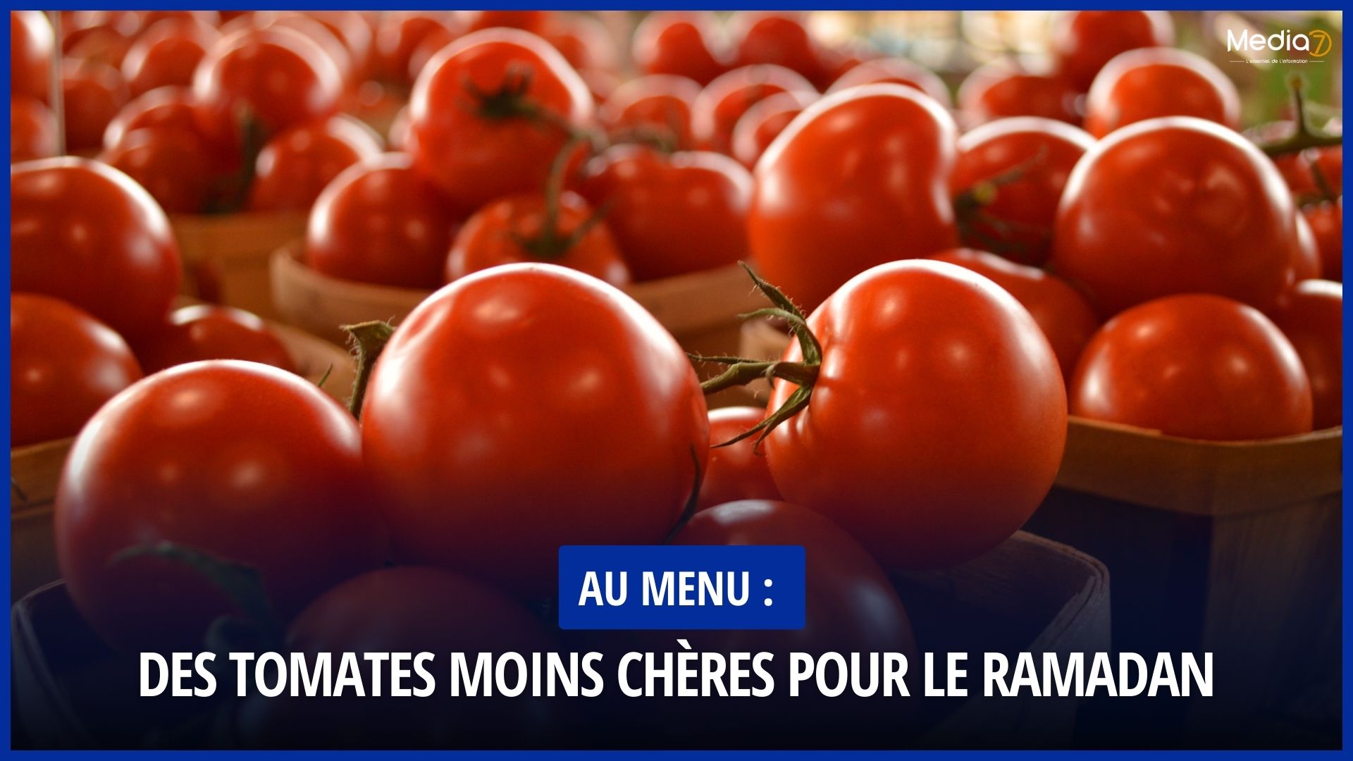 prix des tomates