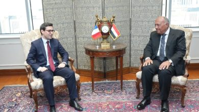 وزير الخارجية يستقبل ونظيره الفرنسي في أول زياره له في القاهرة