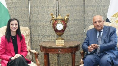 سامح شكري يبحث مع وزيرة الخارجية البلغارية سبل تعزيز التعاون