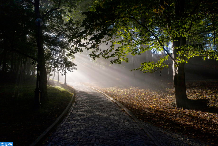 Changement climatique : les banques centrales appelées à l'action