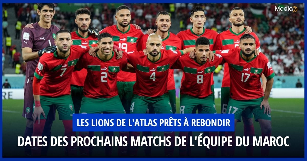 Lions de l'Atlas