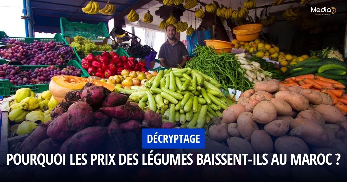 Décryptage : Pourquoi les Prix des Légumes Baissent-ils au Maroc ?