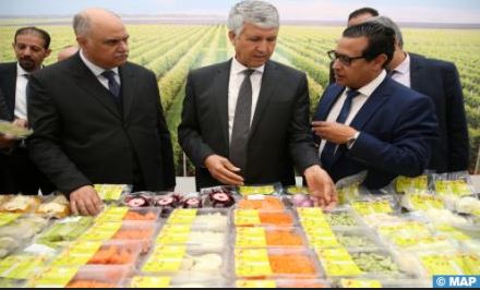 Generation Green: Près de deux MMDH pour les provinces d'Ifrane et de Sefrou