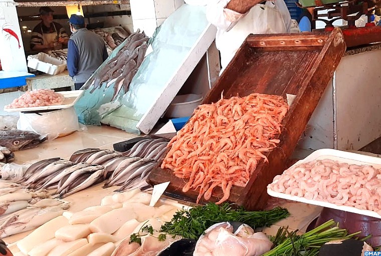 Port d’Essaouira : Les débarquements de la pêche côtière et artisanale en forte hausse en janvier (ONP)