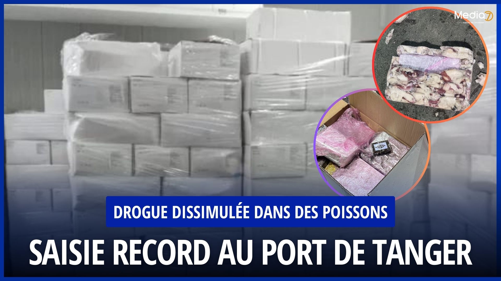 Saisie record au port de Tanger