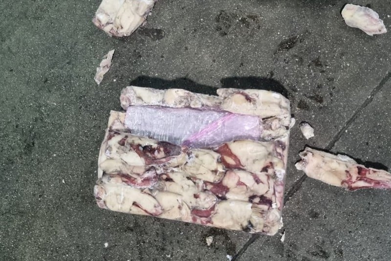 Saisie Record de Cannabis Dissimulé dans un Chargement de Poissons au Port de Tanger 3 Saisie record au port de Tanger