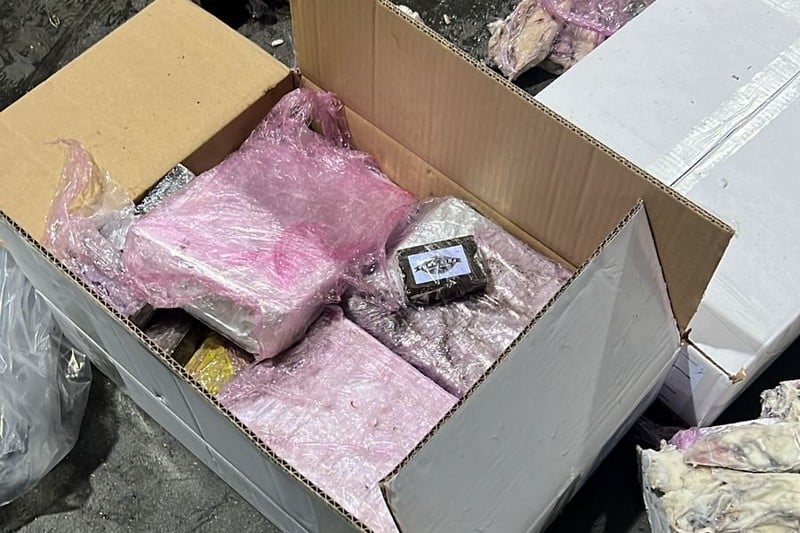 Saisie Record de Cannabis Dissimulé dans un Chargement de Poissons au Port de Tanger 4 Saisie record au port de Tanger