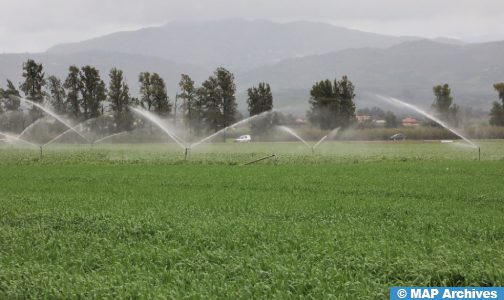 الحكومة تعمل على إيجاد حلول مبتكرة لتدبير معقلن للموارد المائية في القطاع الفلاحي (بايتاس)