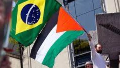 حكومة البرازيل: العمليات العسكرية الإسرائيلية بغزة تتم دون حدود أخلاقية