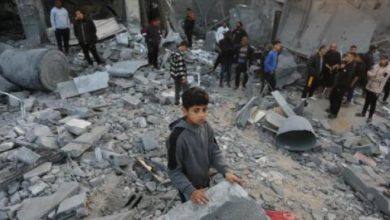 هولندا تطلب من إسرائيل تفسير بشأن مجزرة شارع رشيد في غزة