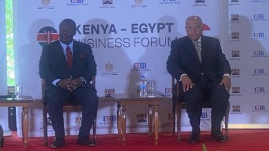 الصور الأولى لمشاركة وزير الخارجية في منتدى الأعمال المصري الكيني (خاص)