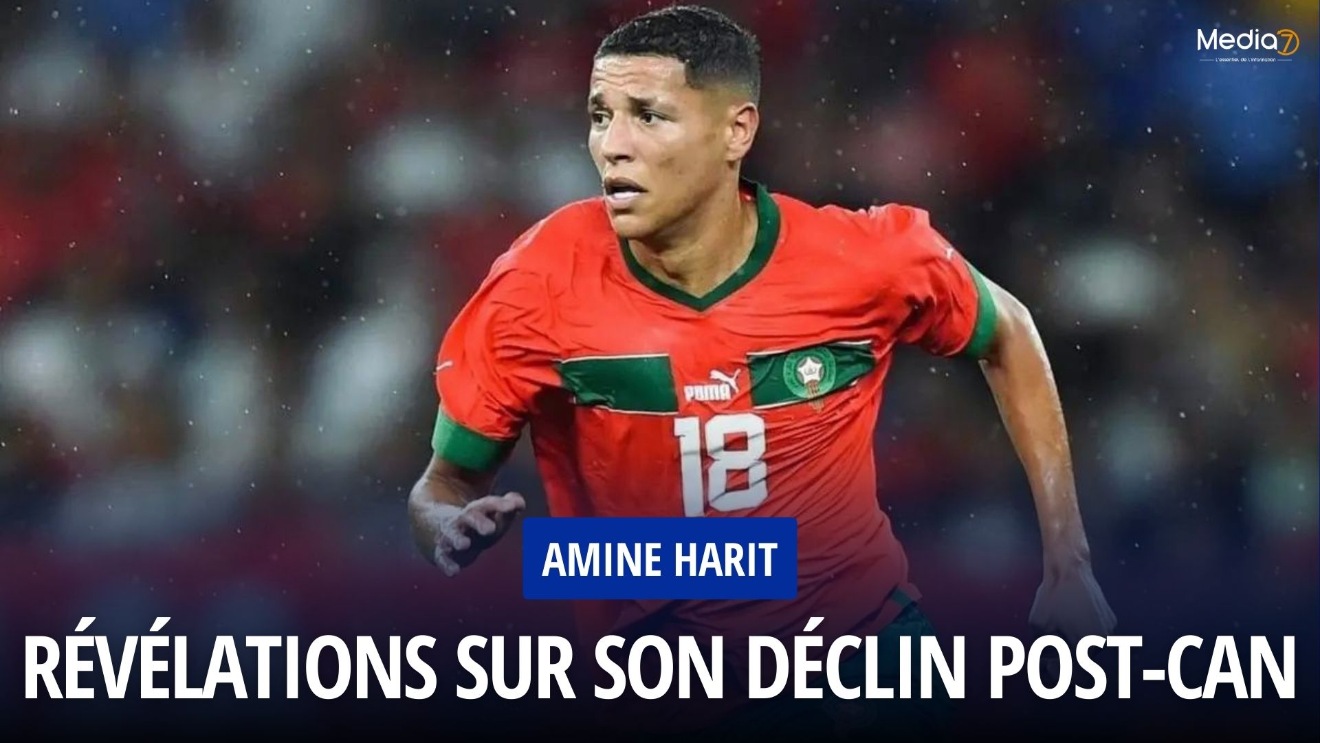 Amine Harit