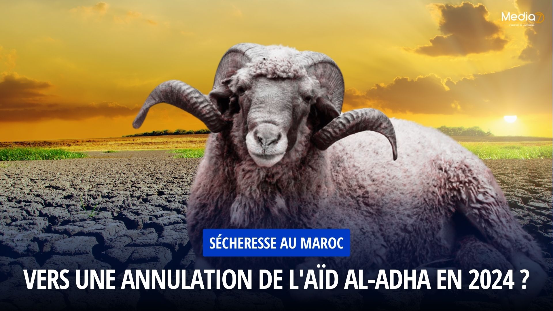 Sécheresse au Maroc : Vers une Annulation de l'Aïd al-Adha en 2024 ?