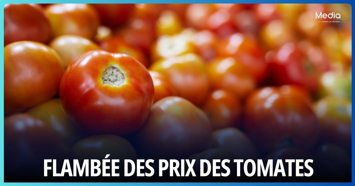 Flambée des Prix des Tomates