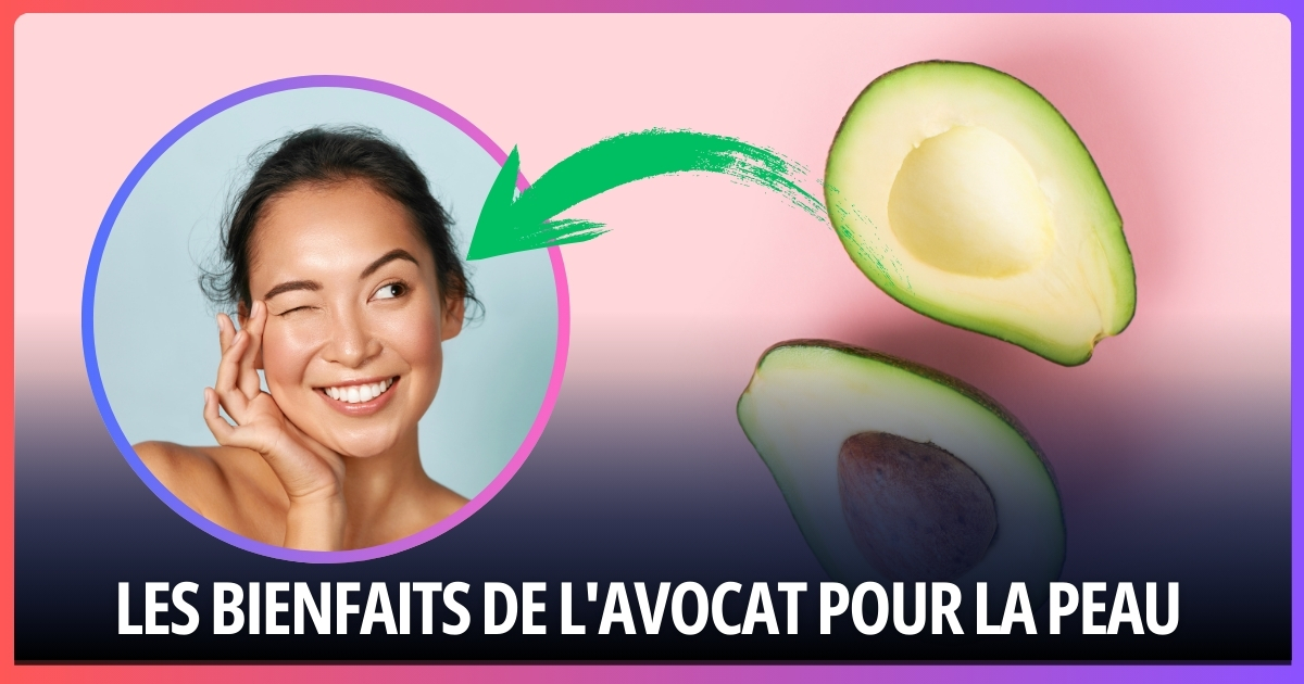 bienfaits de l'avocat