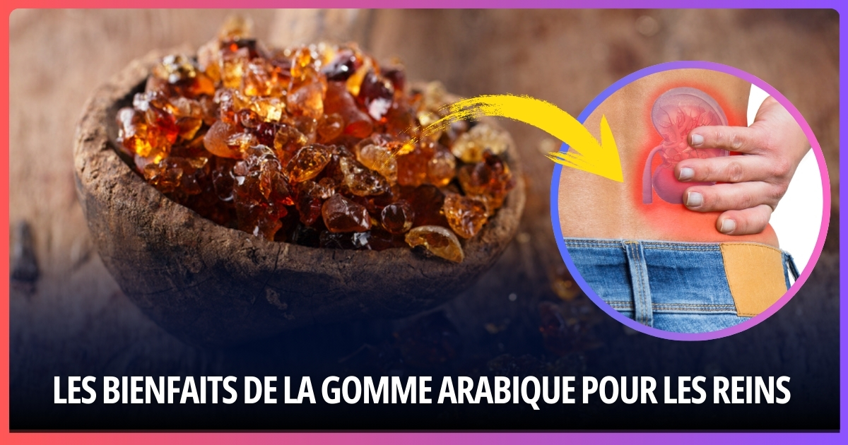 Les Bienfaits de la Gomme Arabique pour les Reins