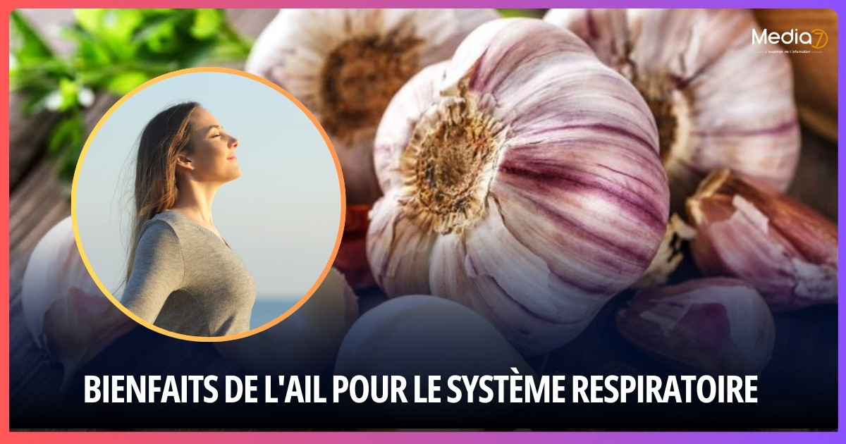 Les bienfaits de l'ail pour le système respiratoire