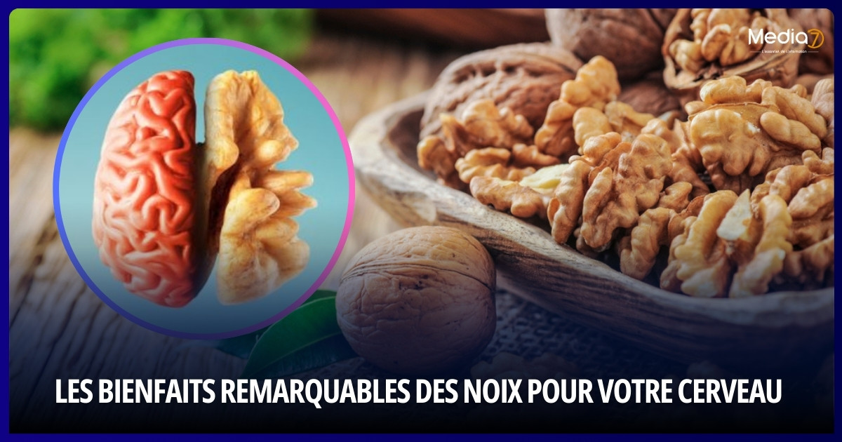 Les bienfaits remarquables des noix pour votre cerveau