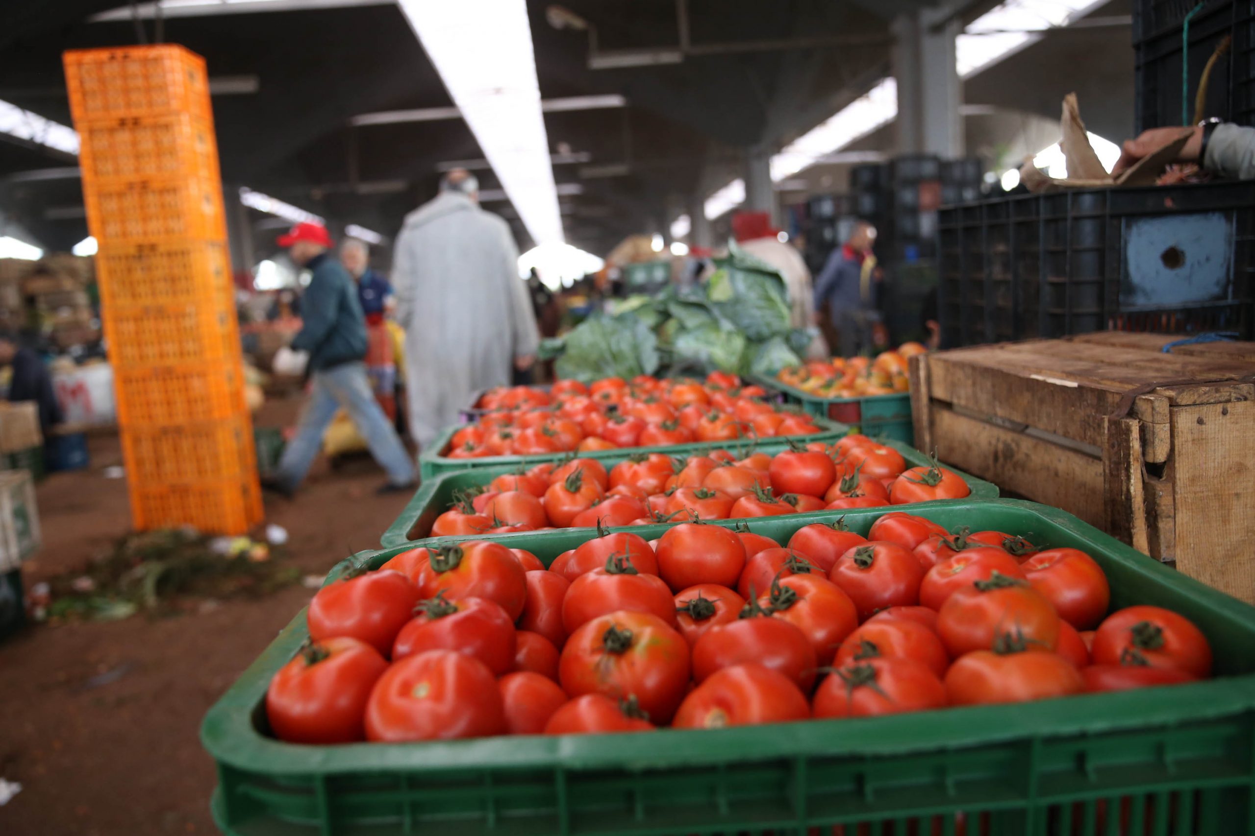 Flambée des Prix des Tomates au Maroc en Début de Ramadan