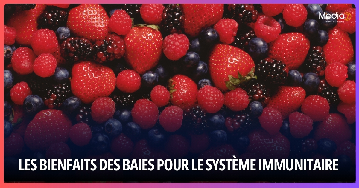 les bienfaits des baies pour le système immunitaire