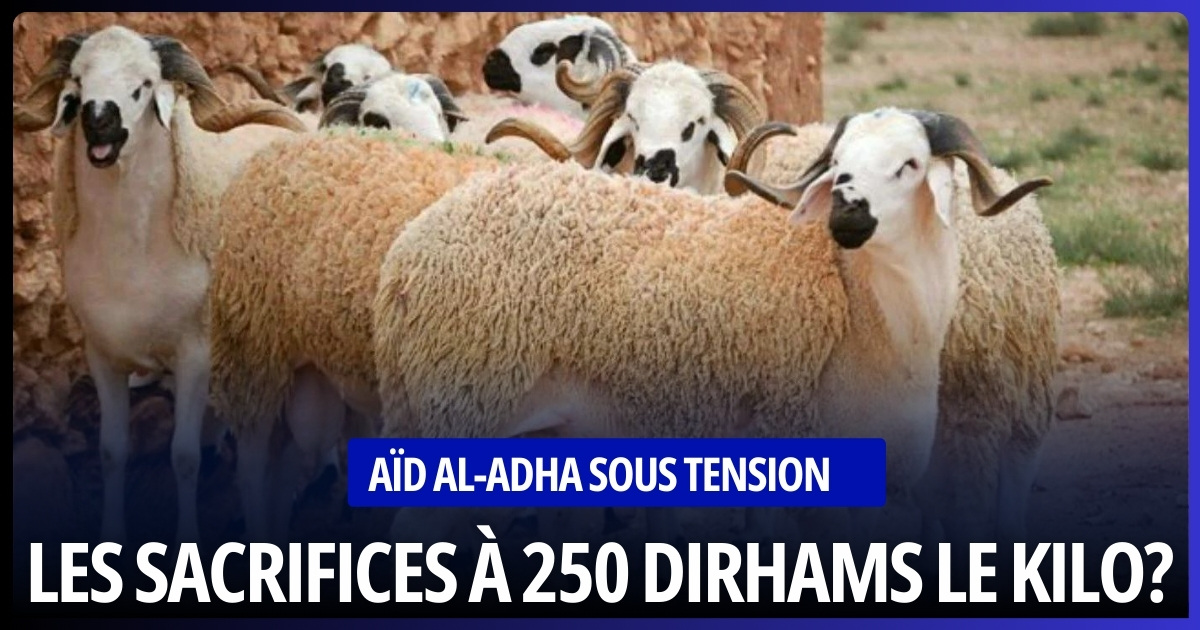 Aïd al-Adha sous Tension