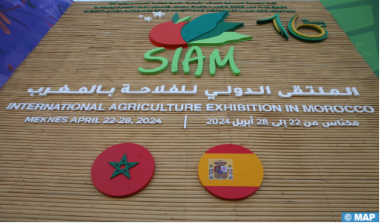 Le miel marocain à la conquête de l'Europe