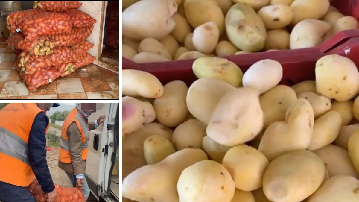 Scandale des Pommes de Terre