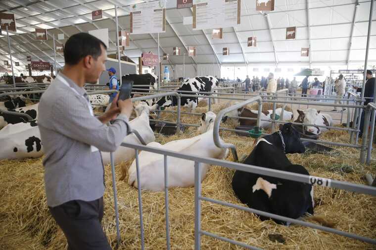 SIAM 2024 : le pôle élevage, un potentiel colossal qui force l'admiration