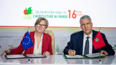 المغرب-الاتحاد الأوروبي.. التوقيع على مشروع تعاون حول تكييف التكوين والبحث الفلاحي والغابوي المغربي مع تحديات الانتقال الإيكولوجي