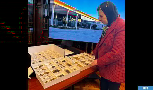 Le Maroc récupère au Chili 117 fossiles rares datant de 400 millions d’années