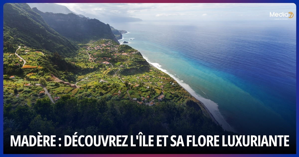 Madère : Découvrez l'île et sa flore luxuriante