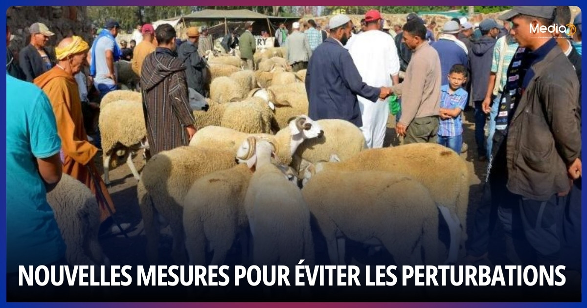 Nouvelles Mesures pour Éviter les Perturbations pendant l'Aïd al-Adha