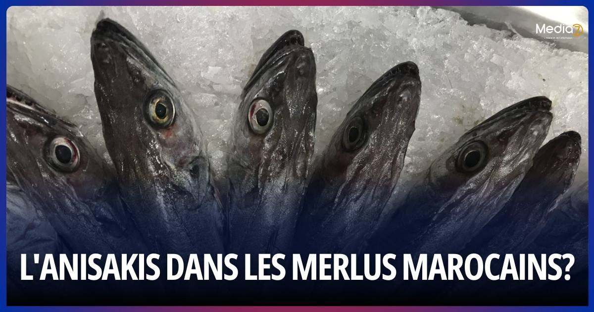 Alerte Alimentaire en Espagne: Du Poisson Marocain Contaminé par l'Anisakis