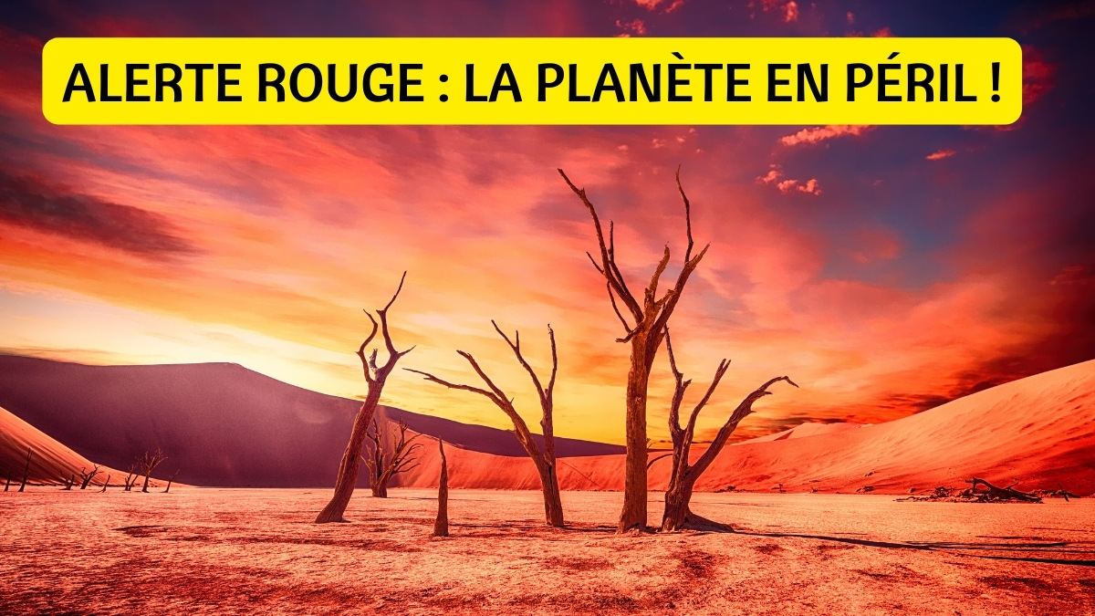 La Planète en Péril