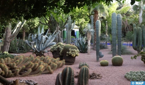 Nuit des Musées et des espaces culturels : Forte affluence au Jardin Majorelle, au Musée Pierre Bergé des Arts berbères et au Musée YSL Marrakech