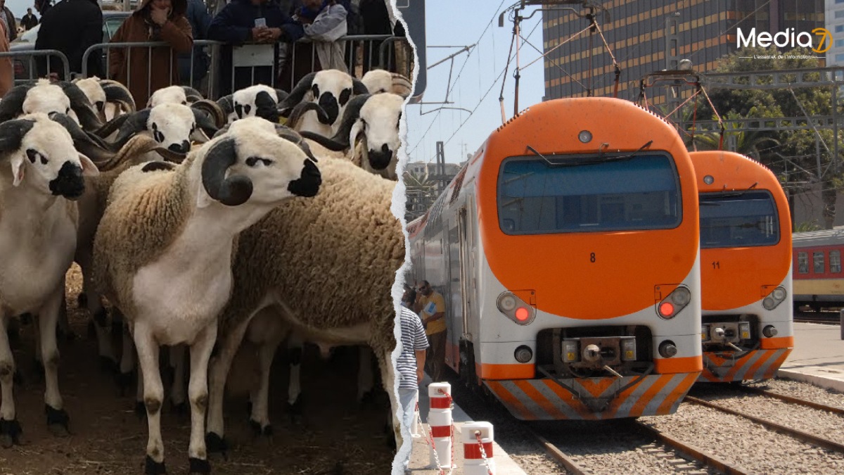 L'ONCF Prêt pour l'Aïd Al-Adha