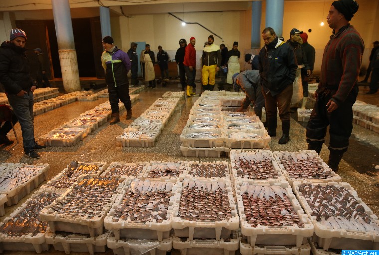 Pêche : repli de la valeur des produits commercialisés de 1% à fin mai