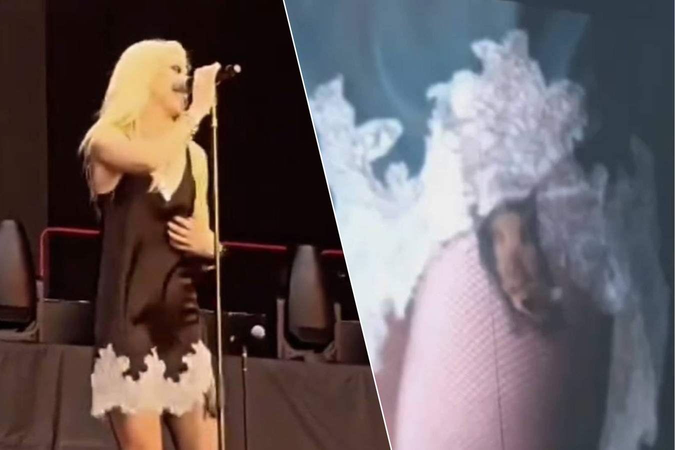 Taylor Momsen Mordue par une Chauve-Souris