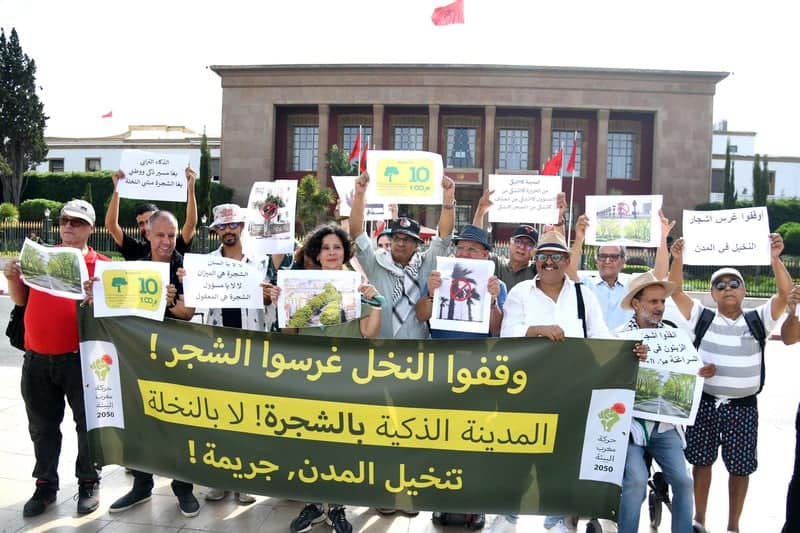 Rabat : Des écologistes dénoncent la "Palmisation" des villes marocaines 3 Palmisation
