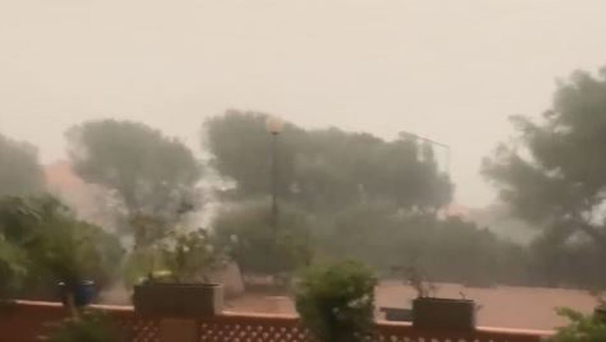 Brouillard, Orages et Vents Violents
