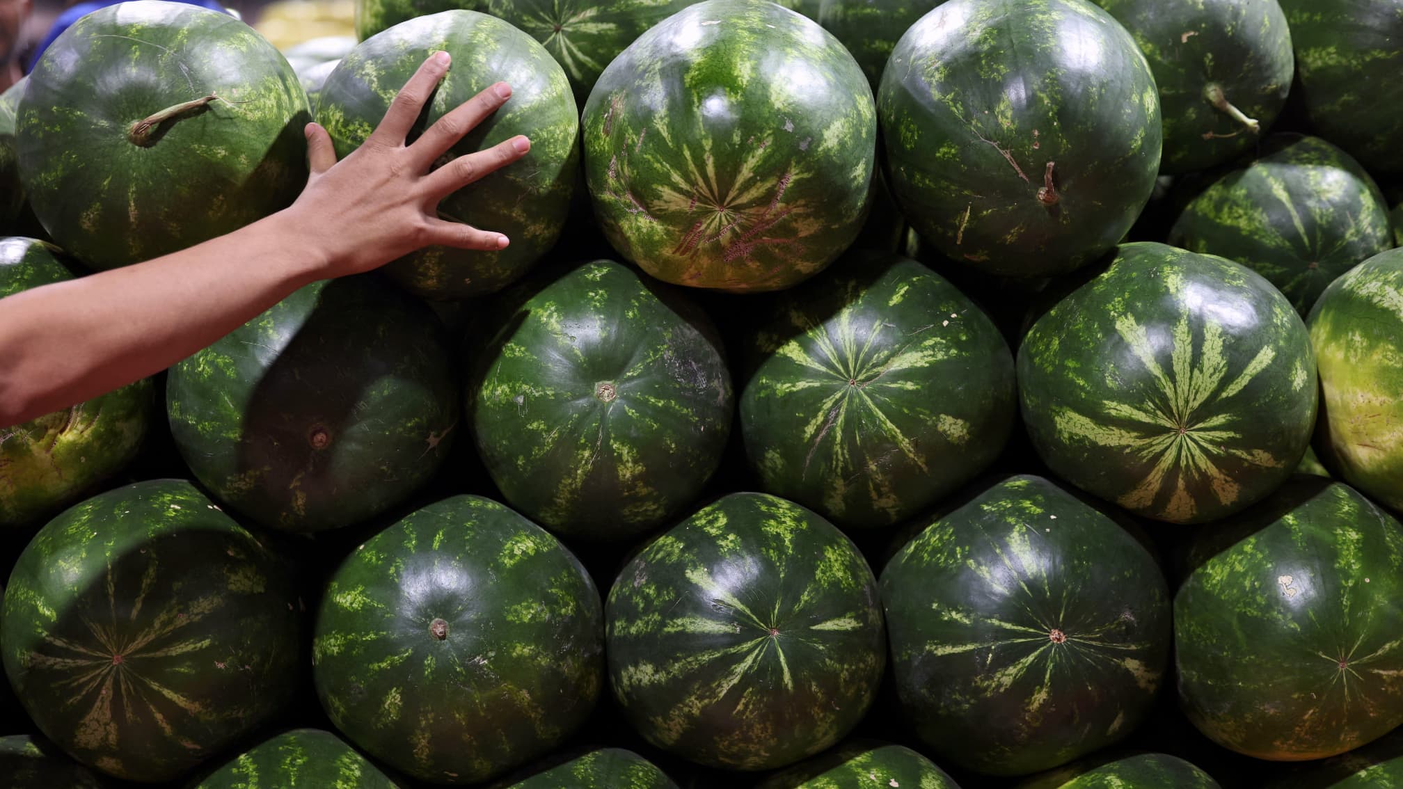 crise de l'eau pastèques