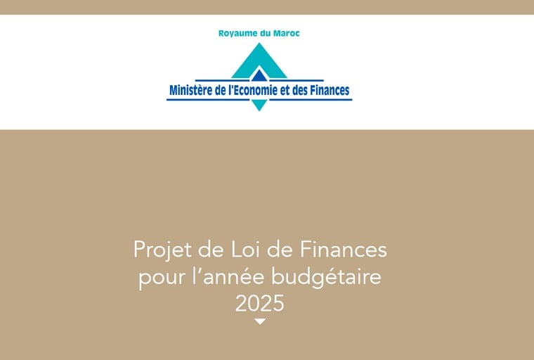 Le PLF 2025 propose la mise en place d’un dispositif de marquage des produits pétroliers