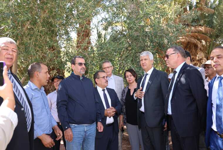 Province de Ouarzazate : M. Sadiki visite des zones agricoles affectées par les récentes précipitations