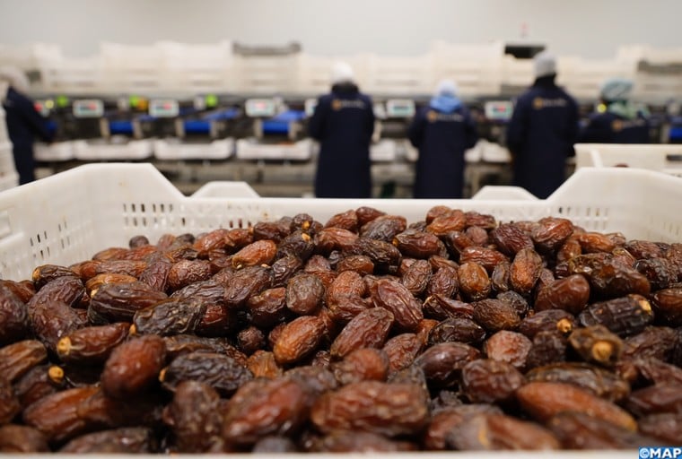 Le Mejhoul vole la vedette au SIDATTES