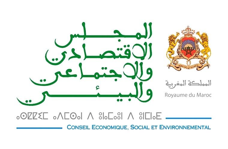 Le CESE appelle à une stratégie nationale d’usage et de développement de l’IA